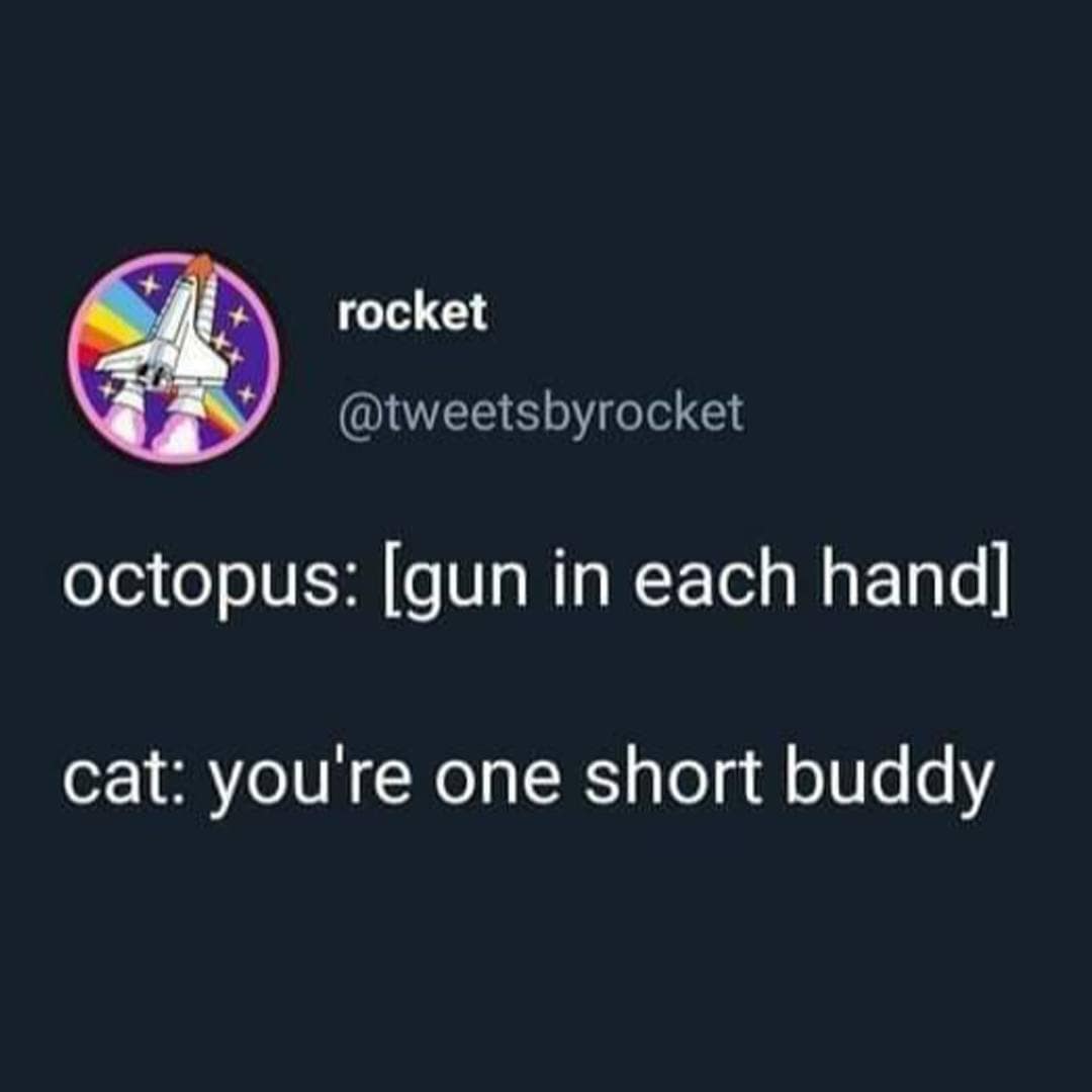 rocket @tweetsbyrocket octopus: [gun in each hand] cat: you're one short buddy