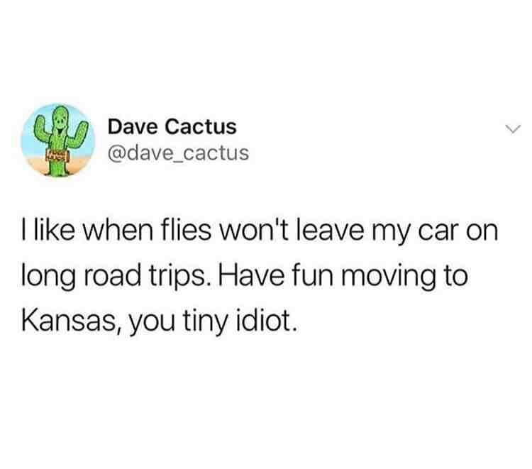 Dave Cactus @dave_cactus I like when flies won't leave my car on long road trips. Have fun moving to Kansas, you tiny idiot.