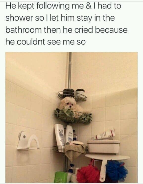 classic memes, viral tweets, vintage memes, funny memes, old memes, best memes, iconic memes, retro memes, meme classics, timeless memes, evergreen memes, legendary memes, meme archive, nostalgic memes, throwback memes, internet classics, historic memes, meme nostalgia, viral memes, vintage internet jokes, meme throwbacks