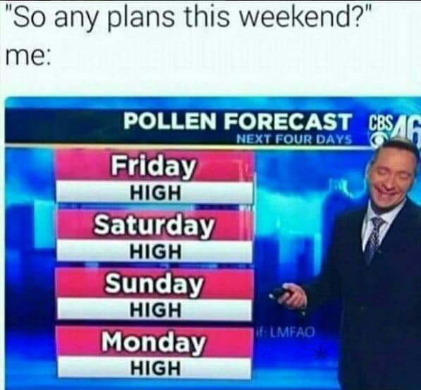classic memes, viral tweets, vintage memes, funny memes, old memes, best memes, iconic memes, retro memes, meme classics, timeless memes, evergreen memes, legendary memes, meme archive, nostalgic memes, throwback memes, internet classics, historic memes, meme nostalgia, viral memes, vintage internet jokes, meme throwbacks