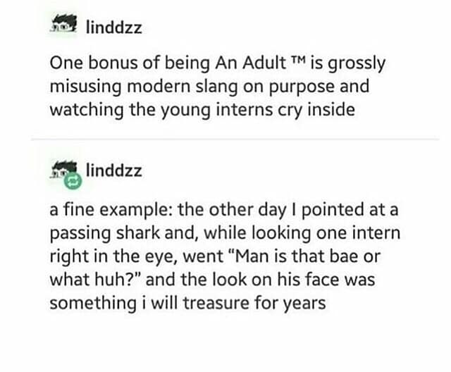 classic memes, vintage memes, viral tweets, retro memes, iconic memes, legendary tweets, best memes, evergreen memes, old memes, meme archive, throwback memes, timeless memes, meme history, internet classics, nostalgic memes, meme revival, historic memes, meme throwbacks, vintage internet jokes, classic viral posts, meme collection, retro internet humor