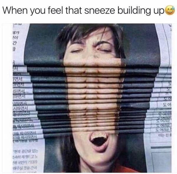 classic memes, vintage memes, viral tweets, retro memes, iconic memes, legendary tweets, best memes, evergreen memes, old memes, meme archive, throwback memes, timeless memes, meme history, internet classics, nostalgic memes, meme revival, historic memes, meme throwbacks, vintage internet jokes, classic viral posts, meme collection, retro internet humor