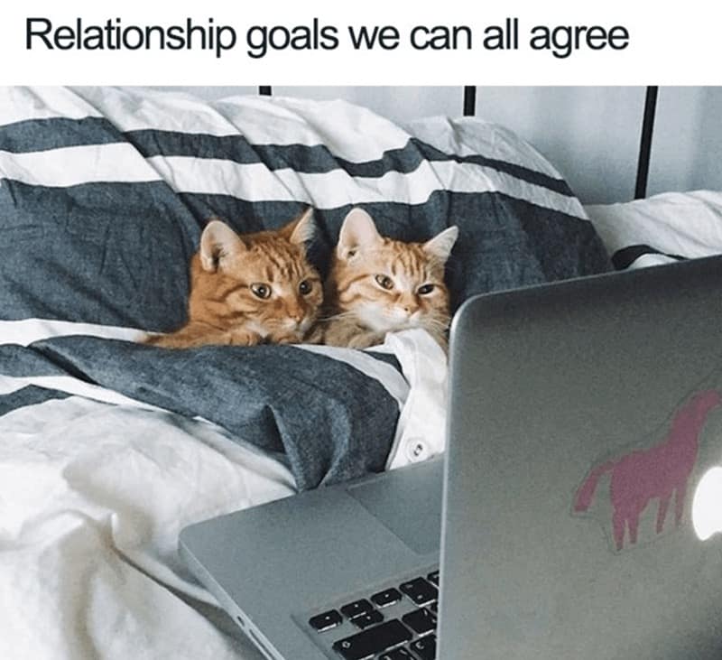 classic memes, vintage memes, viral tweets, funny memes, internet classics, meme archive, throwback memes, retro memes, iconic memes, timeless memes, legendary memes, nostalgic memes, meme history, meme collection, classic viral posts, historic memes, evergreen memes, meme revival, old memes, retro internet humor, best memes