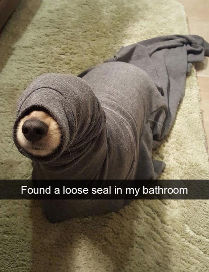 classic memes, viral tweets, vintage memes, old memes, funny memes, best memes, retro memes, iconic memes, throwback memes, evergreen memes, meme classics, nostalgic memes, meme archive, timeless memes, legendary memes, internet classics, meme throwbacks, viral memes, historic memes, meme nostalgia, internet throwbacks