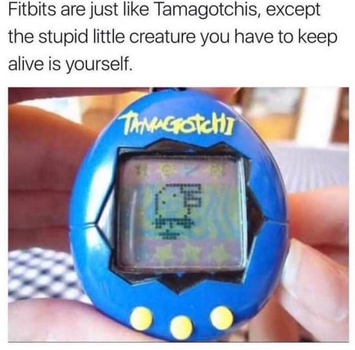 Fitbits are just like Tamagotchis, except the stupid little creature you have to keep alive is yourself. TANAGROTCHT 1/07