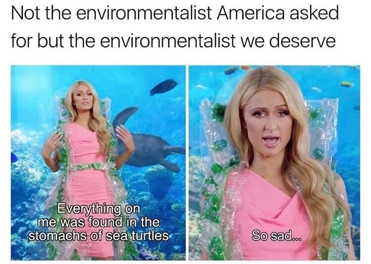 Not the environmentalist America asked for but the environmentalist we deserve Everything on me was found in the stomachs of sea turtles So sad...