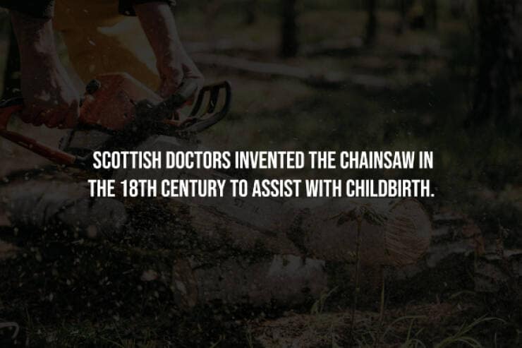 creepy facts, spooky facts, eerie facts, unsettling truths, strange facts, scary stories, bizarre facts, spooky information, chilling facts, macabre details, weird facts, hidden truths, disturbing knowledge