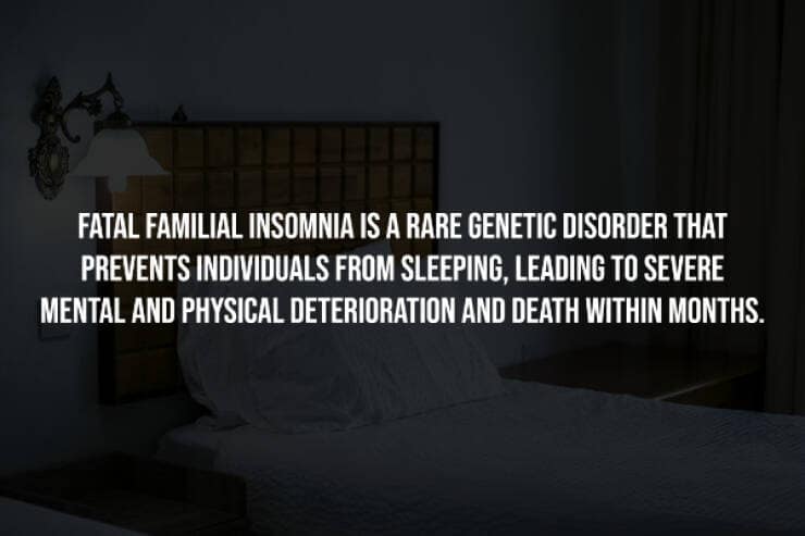 creepy facts, spooky facts, eerie facts, unsettling truths, strange facts, scary stories, bizarre facts, spooky information, chilling facts, macabre details, weird facts, hidden truths, disturbing knowledge