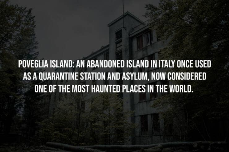 creepy facts, spooky facts, eerie facts, unsettling truths, strange facts, scary stories, bizarre facts, spooky information, chilling facts, macabre details, weird facts, hidden truths, disturbing knowledge