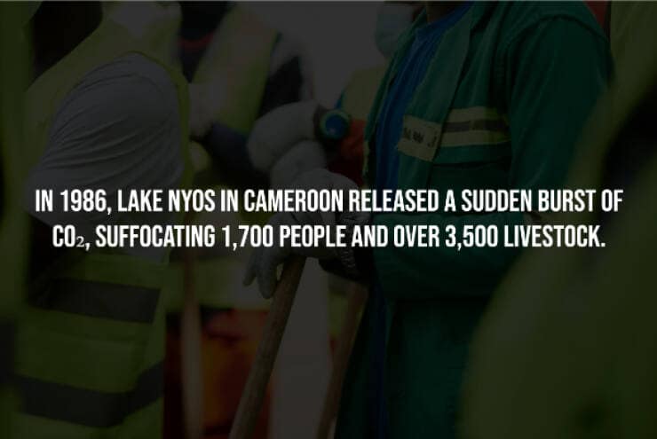 creepy facts, spooky facts, eerie facts, unsettling truths, strange facts, scary stories, bizarre facts, spooky information, chilling facts, macabre details, weird facts, hidden truths, disturbing knowledge