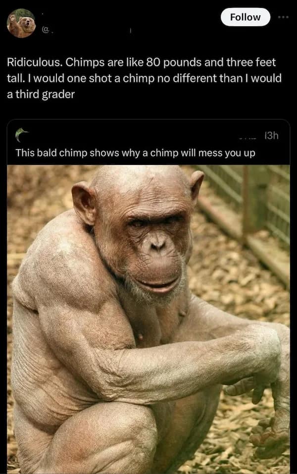 Ridiculous. Chimps are like 80 pounds and three feet tall. I would one shot a chimp no different than I would a third grader