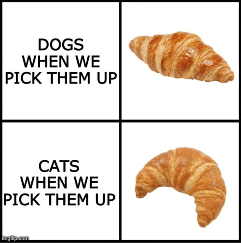 croissant meme, croissant memes, bread memes, pastry memes, breakfast memes, bakery jokes, flaky memes, butter memes, morning humor, pastry jokes