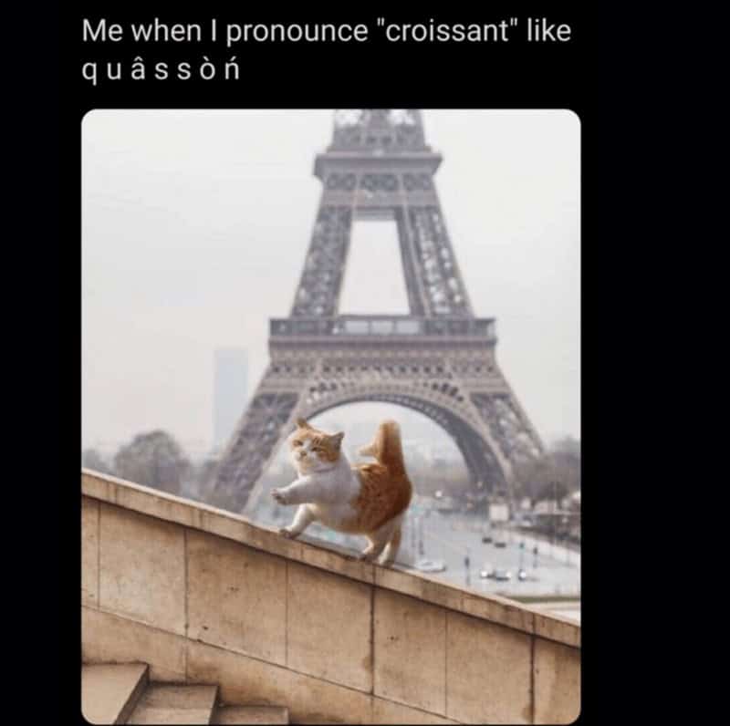 croissant meme, croissant memes, bread memes, pastry memes, breakfast memes, bakery jokes, flaky memes, butter memes, morning humor, pastry jokes