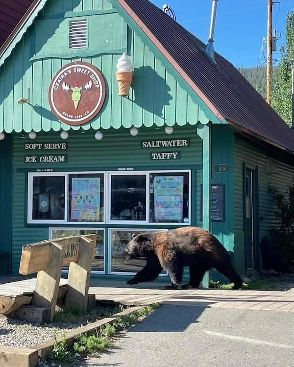 cursed images, cursed photos, haunted photos, horrifying snapshots, abominable visuals, weird pictures, odd visuals, strange imagery, freaky images, bizarre photos, peculiar shots, outlandish pics, uncanny depictions, unsettling images, disconcerting visuals, disturbing photos, eerie captures