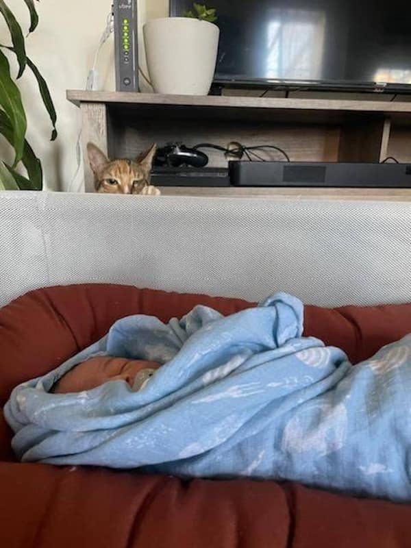 cursed images, cursed photos, haunted photos, horrifying snapshots, abominable visuals, weird pictures, odd visuals, strange imagery, freaky images, bizarre photos, peculiar shots, outlandish pics, uncanny depictions, unsettling images, disconcerting visuals, disturbing photos, eerie captures