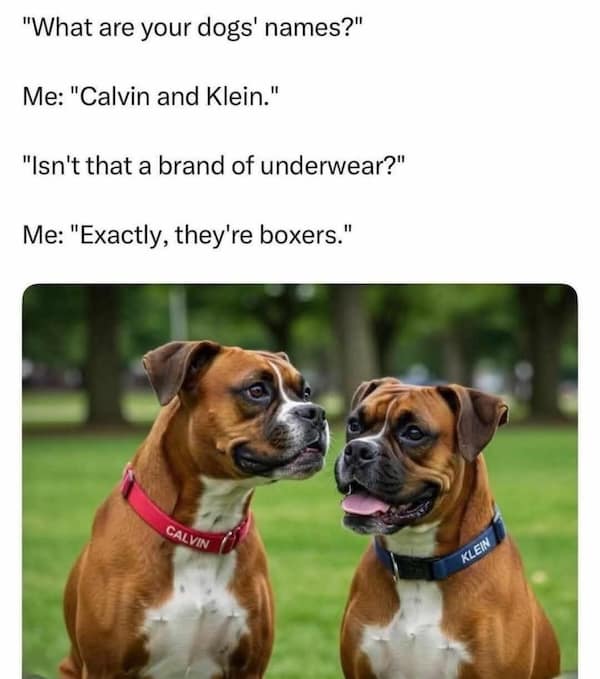 dad jokes, pun jokes, corny jokes, father jokes, dad humor, cheesy jokes, bad puns, silly one-liners, groan-worthy jokes, family jokes, parent humor, joke memes, cringe puns, clean jokes