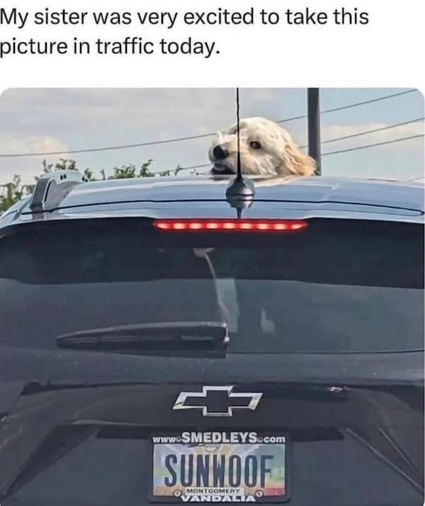 dad jokes, pun jokes, corny jokes, father jokes, dad humor, cheesy jokes, bad puns, silly one-liners, groan-worthy jokes, family jokes, parent humor, joke memes, cringe puns, clean jokes