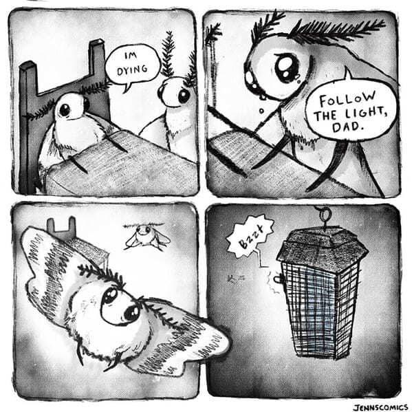 dark humor comics, jenns comics, dark comics, edgy comics, morbid humor, nihilist comics, grim humor, black comedy comics, twisted comics, bleak comics, existential comics, sarcastic comics, macabre comics, savage comics, dark humor strips, wicked comics, grim cartoons, dark webcomics, edgy humor, sinister comics, dark funnies