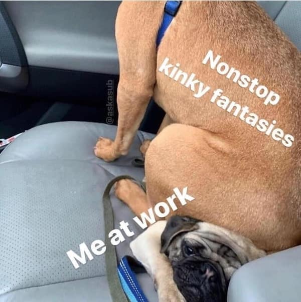 dirty memes, sexy memes, NSFW memes, spicy memes, adult memes, naughty memes, risqué jokes, flirty memes, explicit humor, edgy memes, flirty memes