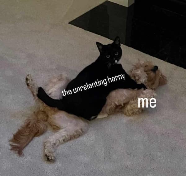 dirty memes, sexy memes, NSFW memes, spicy memes, adult memes, naughty memes, risqué jokes, flirty memes, explicit humor, edgy memes, flirty memes