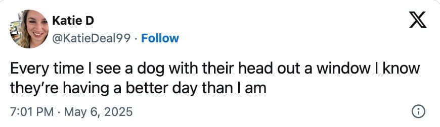 funny dog memes, dog memes, puppy memes, cute dogs, dog humor, funny pets, pet memes, canine memes, animal memes, relatable dog moments, hilarious dogs, dog lovers, funny dog pictures