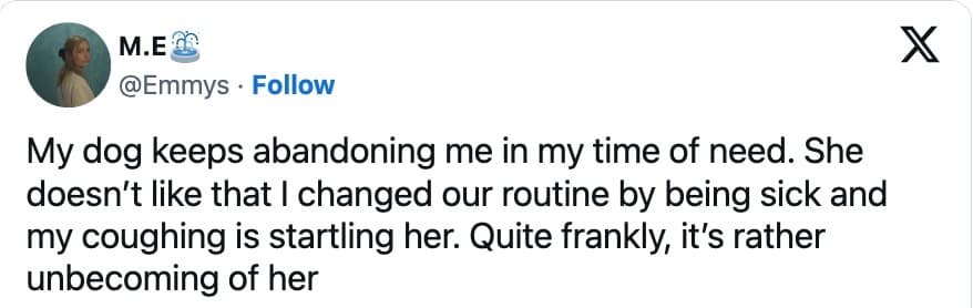 funny dog memes, dog memes, puppy memes, cute dogs, dog humor, funny pets, pet memes, canine memes, animal memes, relatable dog moments, hilarious dogs, dog lovers, funny dog pictures