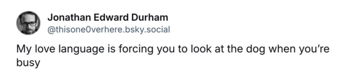 funny dog memes, dog memes, puppy memes, cute dogs, dog humor, funny pets, pet memes, canine memes, animal memes, relatable dog moments, hilarious dogs, dog lovers, funny dog pictures