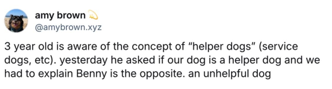 funny dog memes, dog memes, puppy memes, cute dogs, dog humor, funny pets, pet memes, canine memes, animal memes, relatable dog moments, hilarious dogs, dog lovers, funny dog pictures