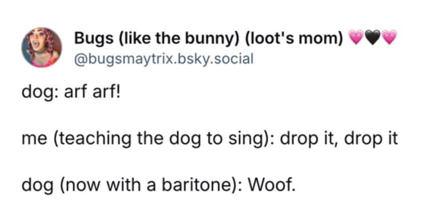 funny dog memes, dog memes, puppy memes, cute dogs, dog humor, funny pets, pet memes, canine memes, animal memes, relatable dog moments, hilarious dogs, dog lovers, funny dog pictures