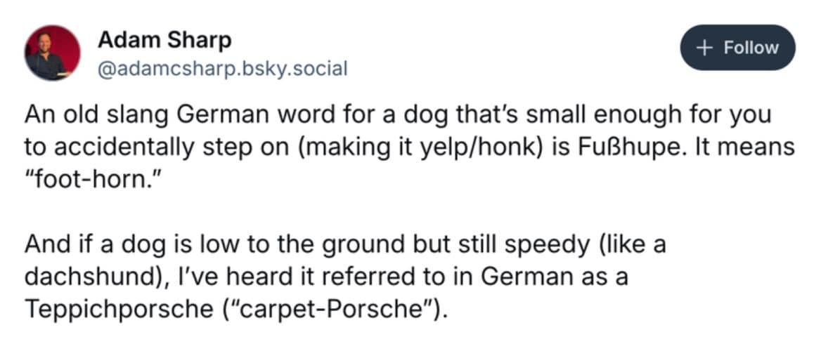 funny dog memes, dog memes, puppy memes, cute dogs, dog humor, funny pets, pet memes, canine memes, animal memes, relatable dog moments, hilarious dogs, dog lovers, funny dog pictures