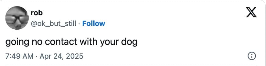 funny dog memes, dog memes, puppy memes, cute dogs, dog humor, funny pets, pet memes, canine memes, animal memes, relatable dog moments, hilarious dogs, dog lovers, funny dog pictures