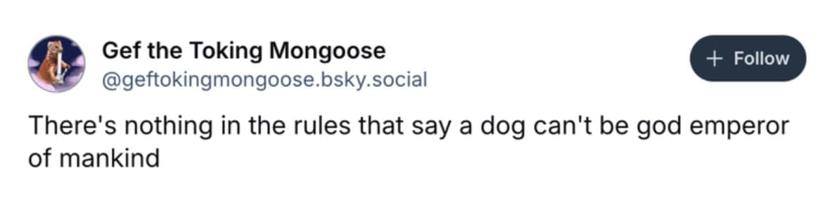 funny dog memes, dog memes, puppy memes, cute dogs, dog humor, funny pets, pet memes, canine memes, animal memes, relatable dog moments, hilarious dogs, dog lovers, funny dog pictures