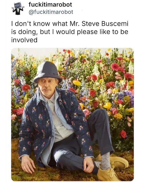 dumb meme, stupid memes, dumb memes, ridiculous memes, absurd memes, brainless memes, hilarious memes, goofy memes, nonsensical memes