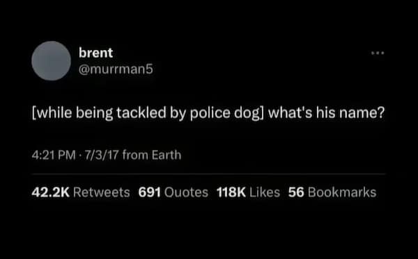 dumb meme, stupid memes, dumb memes, ridiculous memes, absurd memes, brainless memes, hilarious memes, goofy memes, nonsensical memes