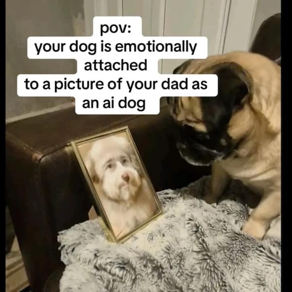 dumb meme, stupid memes, dumb memes, ridiculous memes, absurd memes, brainless memes, hilarious memes, goofy memes, nonsensical memes