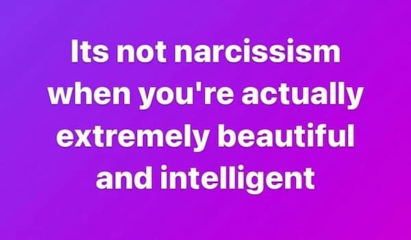 dumb meme, stupid memes, dumb memes, ridiculous memes, absurd memes, brainless memes, hilarious memes, goofy memes, nonsensical memes