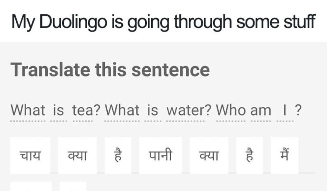 duo memes, duolingo owl memes, language learning memes, owl memes, funny memes, language memes, learning memes, Spanish memes, language app memes, Duo owl jokes, streak memes, Duolingo humor, study memes, app notification memes, funny language memes, learning jokes, Duolingo streak, owl jokes, practice memes, language jokes, meme collection