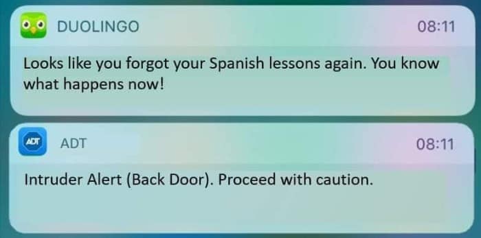 duo memes, duolingo owl memes, language learning memes, owl memes, funny memes, language memes, learning memes, Spanish memes, language app memes, Duo owl jokes, streak memes, Duolingo humor, study memes, app notification memes, funny language memes, learning jokes, Duolingo streak, owl jokes, practice memes, language jokes, meme collection