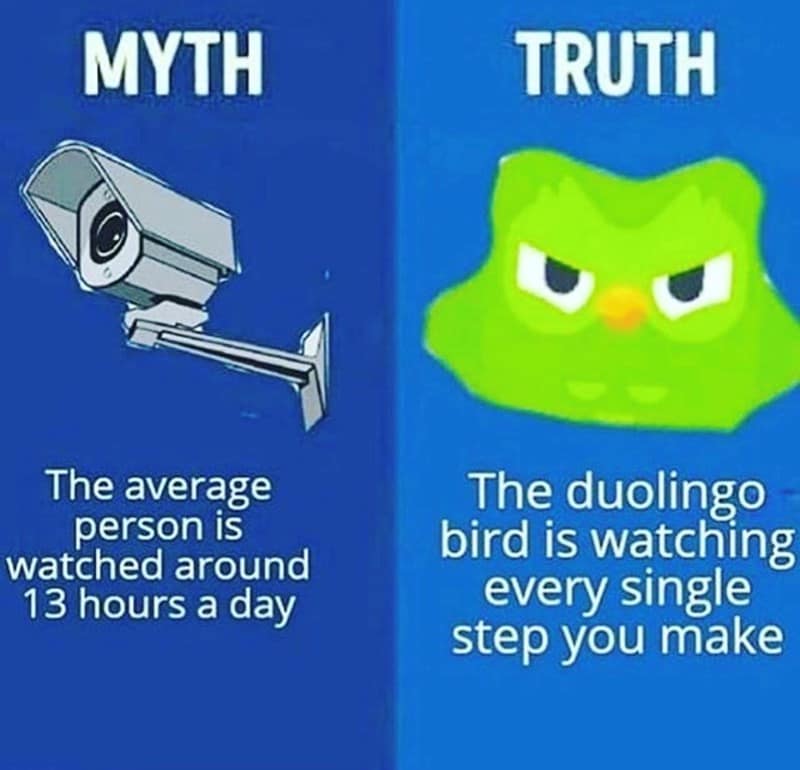 duo memes, duolingo owl memes, language learning memes, owl memes, funny memes, language memes, learning memes, Spanish memes, language app memes, Duo owl jokes, streak memes, Duolingo humor, study memes, app notification memes, funny language memes, learning jokes, Duolingo streak, owl jokes, practice memes, language jokes, meme collection