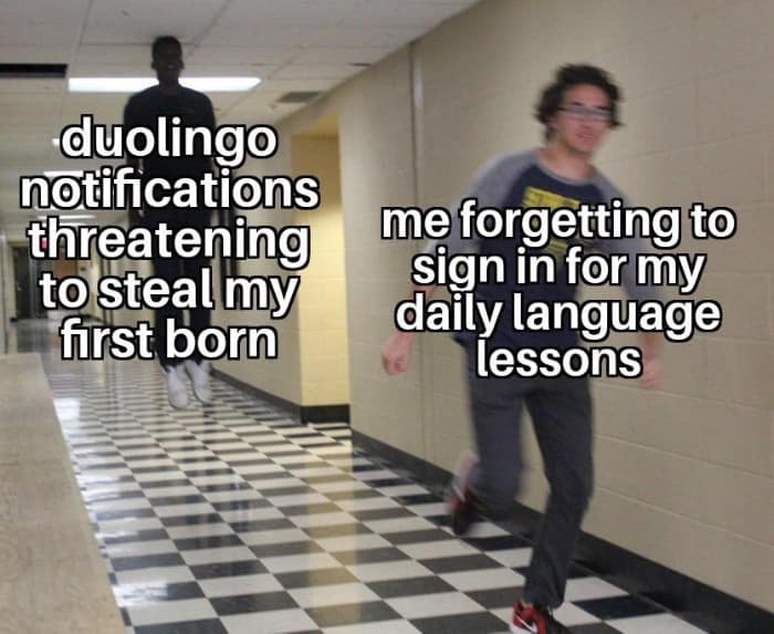 duo memes, duolingo owl memes, language learning memes, owl memes, funny memes, language memes, learning memes, Spanish memes, language app memes, Duo owl jokes, streak memes, Duolingo humor, study memes, app notification memes, funny language memes, learning jokes, Duolingo streak, owl jokes, practice memes, language jokes, meme collection