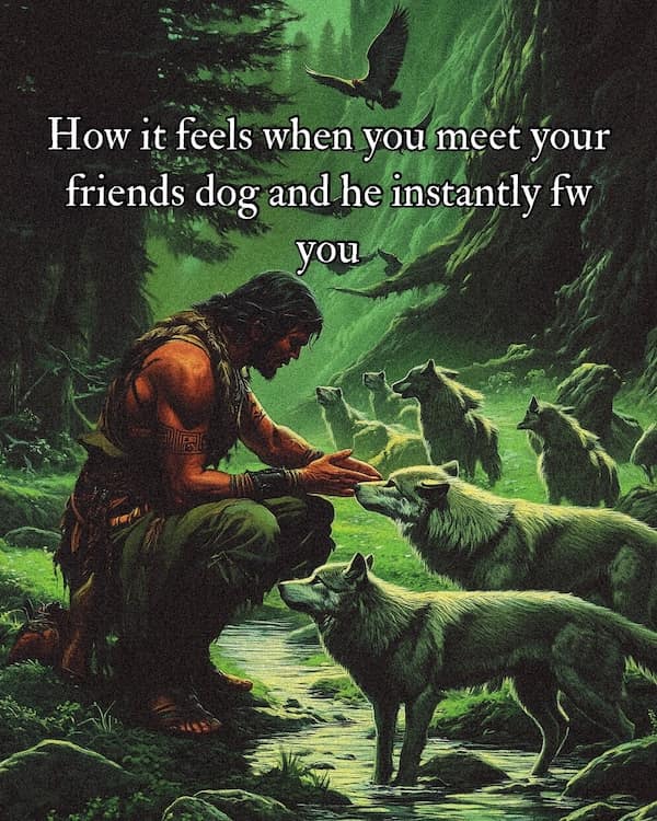 fantasy memes, wizard memes, medieval memes, knight memes, dragon memes, RPG memes, magic memes, dungeon memes, epic memes, sword memes, wizard jokes, knight jokes, medieval humor, fantasy jokes, elf memes, orc memes, quest memes, castle memes, bard memes, dungeon crawler humor