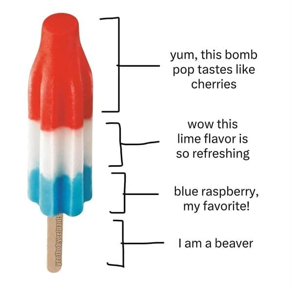 food memes, funny food memes, foodie memes, food jokes, cooking memes, hungry memes, snack memes, food humor, eating memes, snack memes