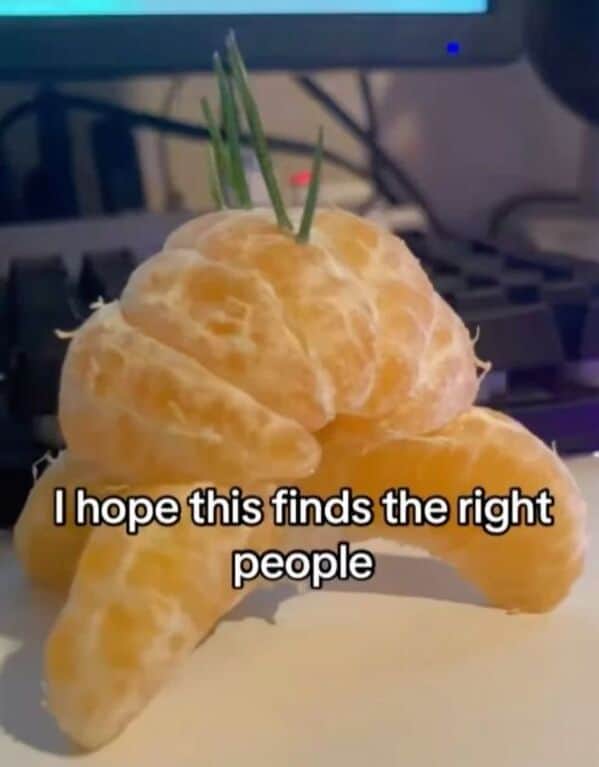 food memes, funny food memes, foodie memes, food jokes, cooking memes, hungry memes, snack memes, food humor, eating memes, snack memes