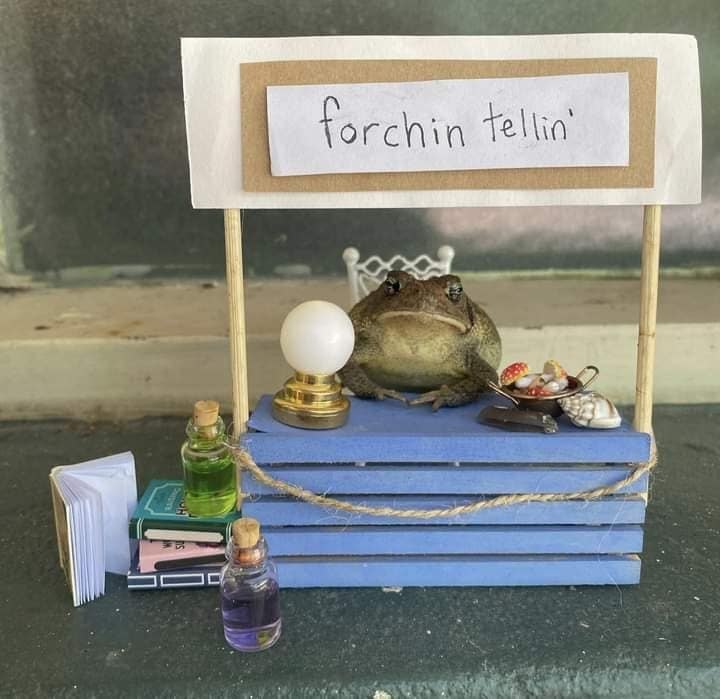 frog meme, frog memes, cute frog memes, toad memes, funny frog memes, amphibian memes, ribbit memes, frog jokes, frog humor, lily pad memes, swamp memes, hop memes, frog pictures, frog laughs, meme frogs, funny amphibian pics, toad jokes, frog lol, pond memes, frog collection