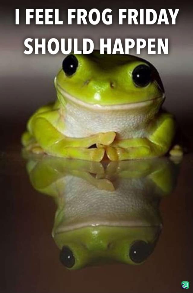 frog meme, frog memes, cute frog memes, toad memes, funny frog memes, amphibian memes, ribbit memes, frog jokes, frog humor, lily pad memes, swamp memes, hop memes, frog pictures, frog laughs, meme frogs, funny amphibian pics, toad jokes, frog lol, pond memes, frog collection
