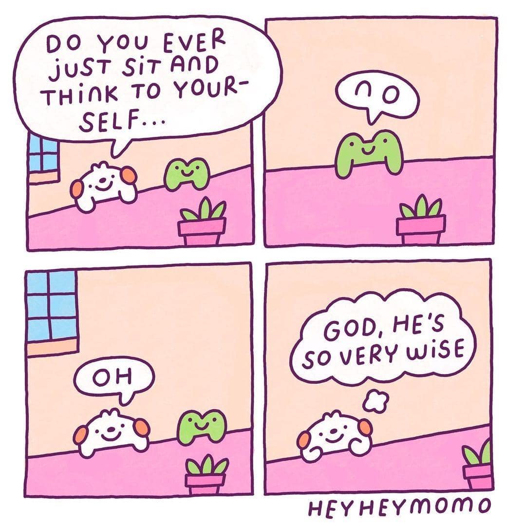 frog meme, frog memes, cute frog memes, toad memes, funny frog memes, amphibian memes, ribbit memes, frog jokes, frog humor, lily pad memes, swamp memes, hop memes, frog pictures, frog laughs, meme frogs, funny amphibian pics, toad jokes, frog lol, pond memes, frog collection