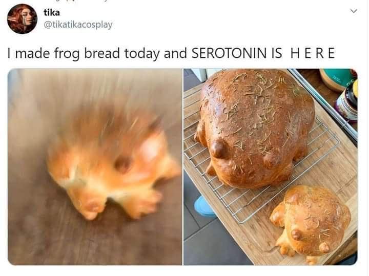 frog meme, frog memes, cute frog memes, toad memes, funny frog memes, amphibian memes, ribbit memes, frog jokes, frog humor, lily pad memes, swamp memes, hop memes, frog pictures, frog laughs, meme frogs, funny amphibian pics, toad jokes, frog lol, pond memes, frog collection