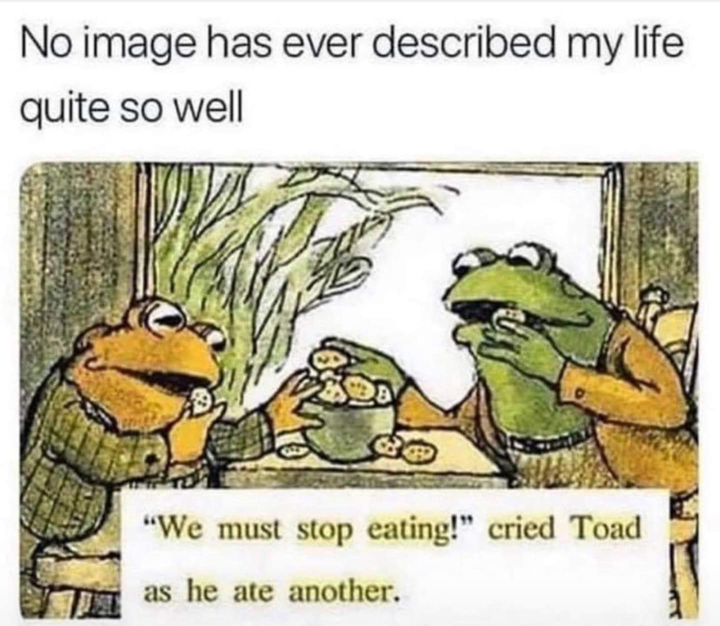 frog meme, frog memes, cute frog memes, toad memes, funny frog memes, amphibian memes, ribbit memes, frog jokes, frog humor, lily pad memes, swamp memes, hop memes, frog pictures, frog laughs, meme frogs, funny amphibian pics, toad jokes, frog lol, pond memes, frog collection