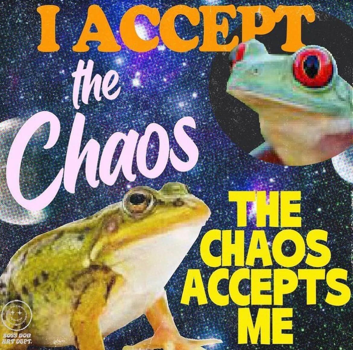 frog meme, frog memes, cute frog memes, toad memes, funny frog memes, amphibian memes, ribbit memes, frog jokes, frog humor, lily pad memes, swamp memes, hop memes, frog pictures, frog laughs, meme frogs, funny amphibian pics, toad jokes, frog lol, pond memes, frog collection