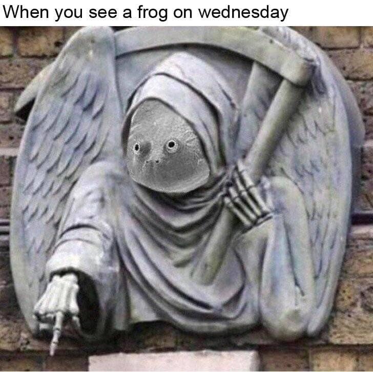 frog meme, frog memes, cute frog memes, toad memes, funny frog memes, amphibian memes, ribbit memes, frog jokes, frog humor, lily pad memes, swamp memes, hop memes, frog pictures, frog laughs, meme frogs, funny amphibian pics, toad jokes, frog lol, pond memes, frog collection